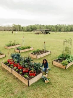 Deep Root Raised Beds, 14" Deep 4' Wide -Cheap A Fresh Yard Store 8587813 505 tif