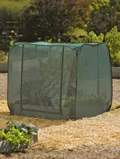 Pest Control Pop-Ups -Cheap A Fresh Yard Store 8587859 026 tif