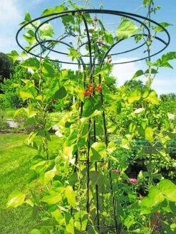 Essex Tuteur, 78" -Cheap A Fresh Yard Store 8587861 100 tif