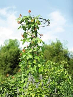 Essex Tuteur, 78" -Cheap A Fresh Yard Store 8587861 4160 tif