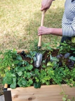 Gardener's Lifetime Raised Bed Trowel -Cheap A Fresh Yard Store 8588014 4084 tif