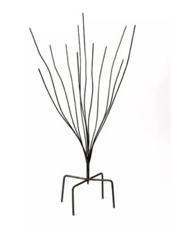 Bottle Bush -Cheap A Fresh Yard Store 8588047 0697