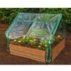 Extendable Cold Frame Greenhouse -Cheap A Fresh Yard Store 8588247 03V extendable cold frame greenhouse
