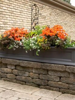 Fairfield Self-Watering Window Box, 5’ -Cheap A Fresh Yard Store 8588938 105V tif