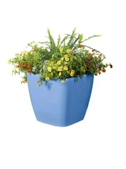 Viva Square Self-Watering Rolling Planter, 14" Diameter 9 Viva Square Self-Watering Rolling Planter, 14" Diameter -Cheap A Fresh Yard Store 8589777BL 6080 tif