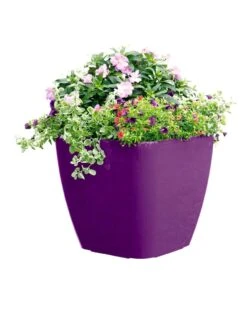 Viva Square Self-Watering Rolling Planter, 17.5" Diameter -Cheap A Fresh Yard Store 8589778PR 6126 tif