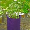 Gardener's Best® Potato Grow Bag -Cheap A Fresh Yard Store 8589785PR 4191 potato grow bags with handles tif
