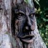 Friendly Ent Tree Face -Cheap A Fresh Yard Store 8589841 001v