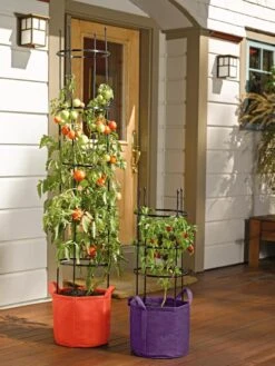 Gardener's Best® Tomato Grow Bag Set -Cheap A Fresh Yard Store 8590013 170 tif