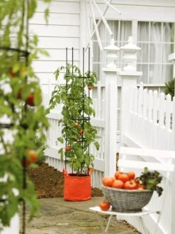 Gardener's Best® Tomato Grow Bag Set -Cheap A Fresh Yard Store 8590013 5117 tif