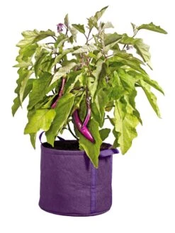 Gardener's Best® Universal Grow Bag -Cheap A Fresh Yard Store 8590024PR 214 tif