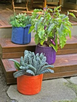 Gardener's BestĀ® Universal Grow Bag