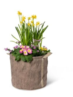 Gardener's Best® Universal Grow Bag -Cheap A Fresh Yard Store 8590024 7307 tif