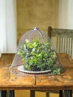 Chicken Wire Cloche 19 Chicken Wire Cloche -Cheap A Fresh Yard Store 8590210 1 tif