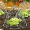 Chicken Wire Cloche -Cheap A Fresh Yard Store 8590210 2408 wire cloche colonial tin works tif
