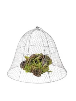 Chicken Wire Cloche 20 Chicken Wire Cloche -Cheap A Fresh Yard Store 8590210 675 tif