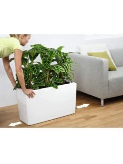 Lechuza® Cararo Rectangular Indoor Planter With Casters -Cheap A Fresh Yard Store 8590295 03v