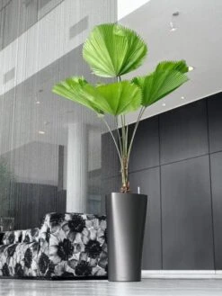 Lechuza® Delta Premium Self-Watering Planters 13 Lechuza® Delta Premium Self-Watering Planters -Cheap A Fresh Yard Store 8590299 02V tif