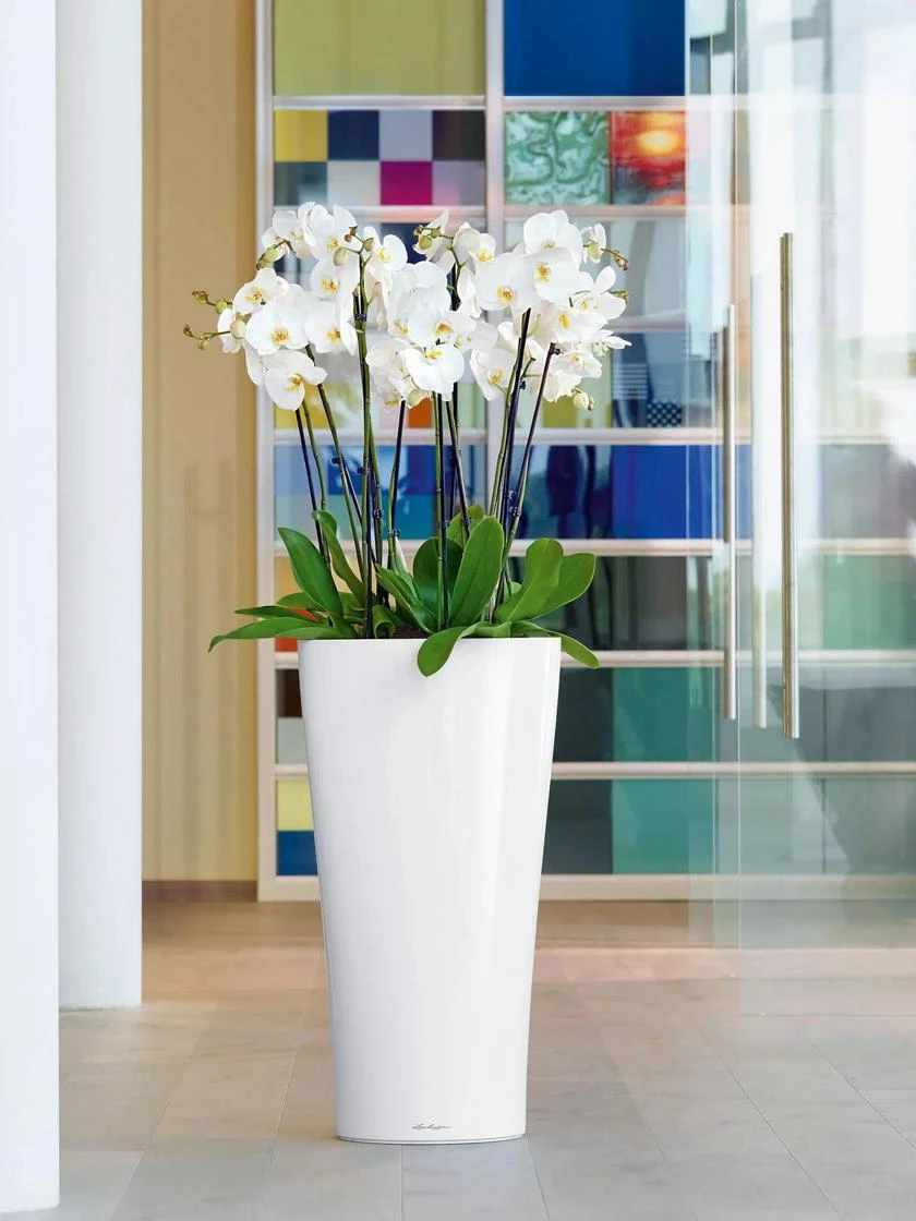 Lechuza® Delta Premium Self-Watering Planters 3 Lechuza® Delta Premium Self-Watering Planters