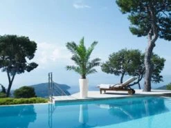 Lechuza® Delta Premium Self-Watering Planters 12 Lechuza® Delta Premium Self-Watering Planters -Cheap A Fresh Yard Store 8590299 04V tif