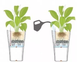 Lechuza® Delta Premium Self-Watering Planters 11 Lechuza® Delta Premium Self-Watering Planters -Cheap A Fresh Yard Store 8590299 07V tif