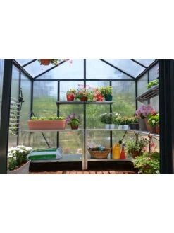 Canopia® By Palram Glory™ Greenhouse, 8' 39 Canopia® By Palram Glory™ Greenhouse, 8' -Cheap A Fresh Yard Store 8591547 02v