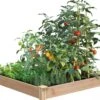 Cedar Raised Garden Bed, 4' X 4' X 6" -Cheap A Fresh Yard Store 8591724 01V tif