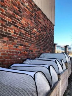 Row Shelter Accelerator 11 Row Shelter Accelerator -Cheap A Fresh Yard Store 8591990 01IN tif