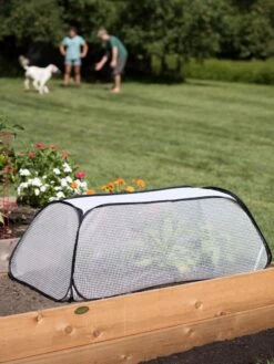 Row Shelter Accelerator 10 Row Shelter Accelerator -Cheap A Fresh Yard Store 8591990 2182 tif