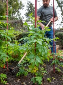 Gardener's Lifetime Long-Handled Double Tool 8 Gardener's Lifetime Long-Handled Double Tool -Cheap A Fresh Yard Store 8592107 2481 tif