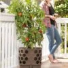 Gardener's Revolution® Tomato Planter -Cheap A Fresh Yard Store 8592159 406 001E tif