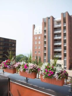 Adjustable Self-Watering Railing Planter, 24" -Cheap A Fresh Yard Store 8592173TC 2383 tif