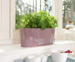 Lechuza® Delta Self-Watering Windowsill Planters 14 Lechuza® Delta Self-Watering Windowsill Planters -Cheap A Fresh Yard Store 8592361 01V tif