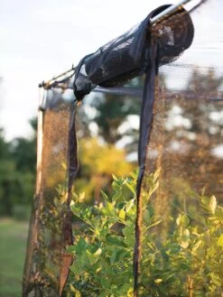 Storm Proof Crop Cage, Large -Cheap A Fresh Yard Store 8592463 115 tif