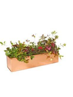 Tall Rectangular Copper Plant Tray, 18" X 5" X 4" 10 Tall Rectangular Copper Plant Tray, 18" X 5" X 4" -Cheap A Fresh Yard Store 8593534 2899 tif