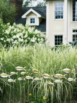 Fish Out Of Water Garden Stakes, Set Of 5 14 Fish Out Of Water Garden Stakes, Set Of 5 -Cheap A Fresh Yard Store 8593672 9124 tif