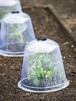 Large Garden Cloches, Set Of 3 -Cheap A Fresh Yard Store 8593984 9432 tif