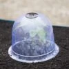 Medium Garden Cloches, Set Of 6 2 Medium Garden Cloches, Set Of 6 -Cheap A Fresh Yard Store 8593985 347 tif