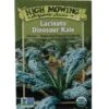 Lacinato Dino Kale Organic Seeds -Cheap A Fresh Yard Store 8594082 9241 tif