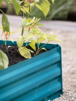 Demeter Corrugated Metal Raised Bed, 34" X 68" -Cheap A Fresh Yard Store 8594183 470 tif 1