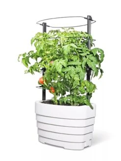 Gardener's Revolution® Classic Tomato Extension -Cheap A Fresh Yard Store 8594364 583 tif