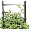 Gardener's Revolution® Classic Tomato Extension 2 Gardener's Revolution® Classic Tomato Extension -Cheap A Fresh Yard Store 8594367 0047 001E gardeners revolution classic tomato cage extension tif