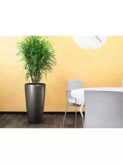 Lechuza® Rondo Self-Watering Planters -Cheap A Fresh Yard Store 8594586 02V tif