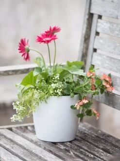 Viva Round Self-Watering Planter, 7" Diameter -Cheap A Fresh Yard Store 8595222 1139 tif