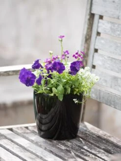 Viva Round Self-Watering Planter, 7" Diameter -Cheap A Fresh Yard Store 8595222 1140 tif