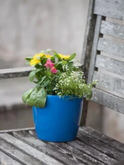 Viva Round Self-Watering Planter, 7" Diameter -Cheap A Fresh Yard Store 8595222 1143 tif