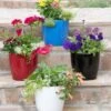 Viva Round Self-Watering Planter, 7" Diameter 1 Viva Round Self-Watering Planter, 7" Diameter -Cheap A Fresh Yard Store 8595222 5302 tif