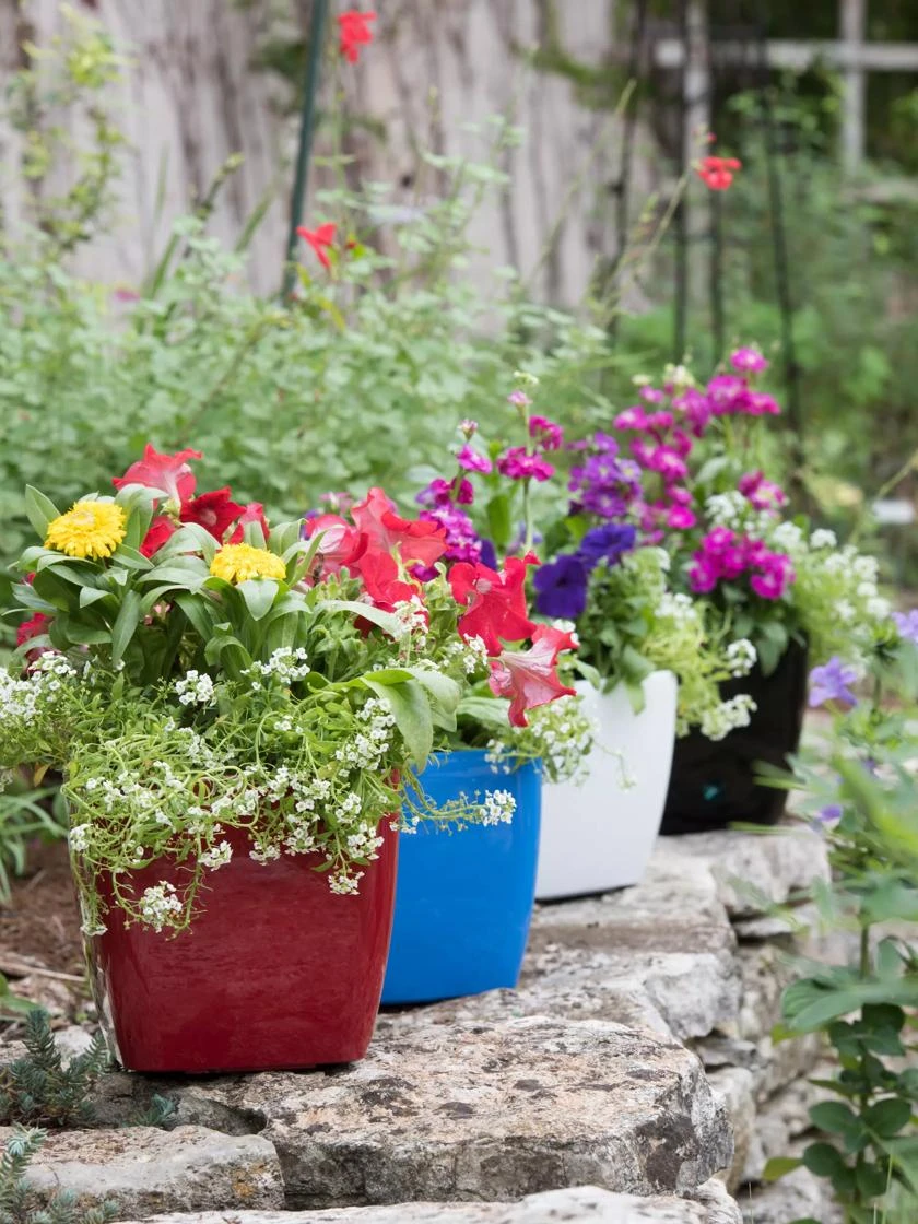 Viva Square Self-Watering Planter, 7" Diameter 4 Viva Square Self-Watering Planter, 7" Diameter - Image 2