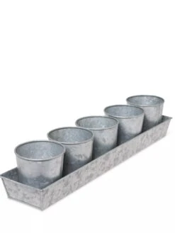 Galvanized Herb Planters With Rectangular Tray 9 Galvanized Herb Planters With Rectangular Tray -Cheap A Fresh Yard Store 8595903 3924 tif