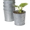 Galvanized Planting Cups, Set Of 5 -Cheap A Fresh Yard Store 8596104 9899 tif